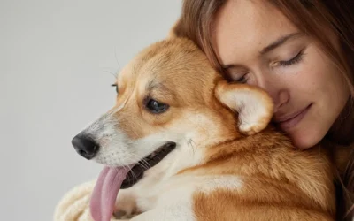 HOA Emotional Support Animals: Policies To Put In Place To Avoid Abuse