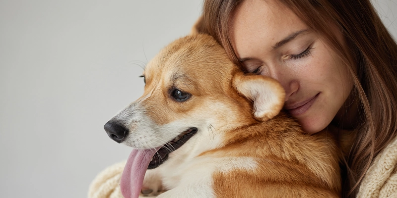 HOA Emotional Support Animals: Policies To Put In Place To Avoid Abuse