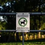 hoa dog rules