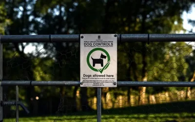 HOA Dog Rules: Creating Fair Pet Policies For The Community
