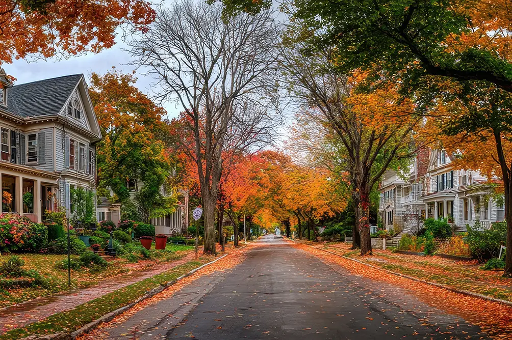 massachusetts neighbourhood
