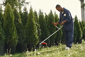 select vendors for hoa